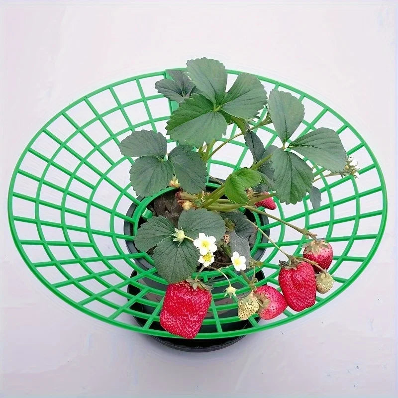 6 Green PVC Strawberry Support Cage Vegetable Garden 3-Legged Plant
