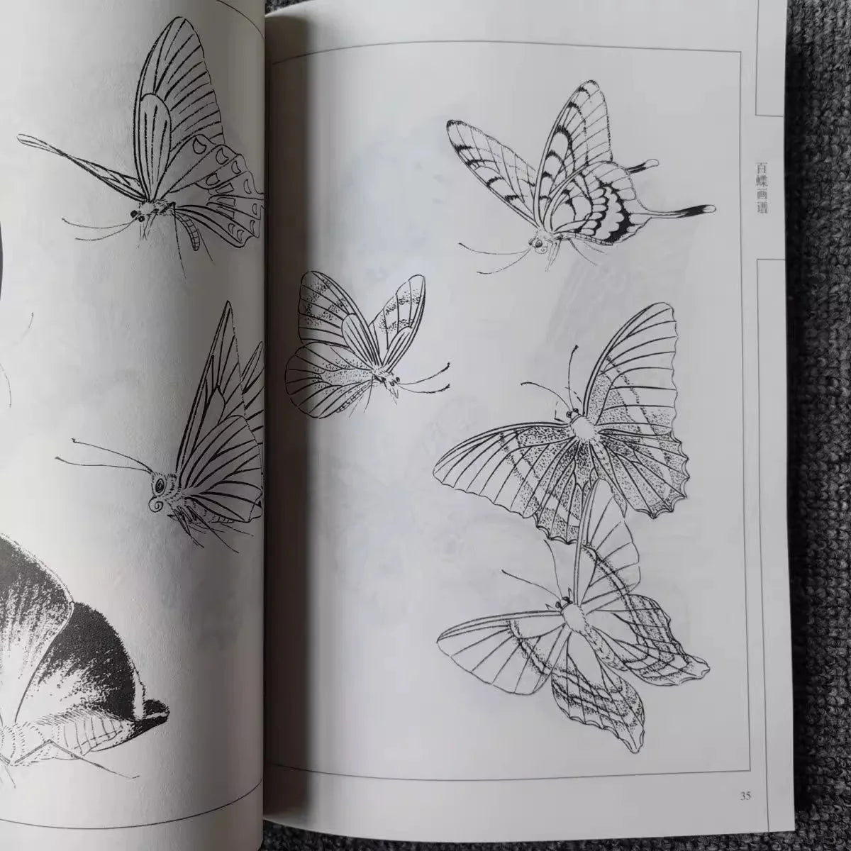 94Pages Hundred Butterflies Chinese Line Drawing Collection Adult