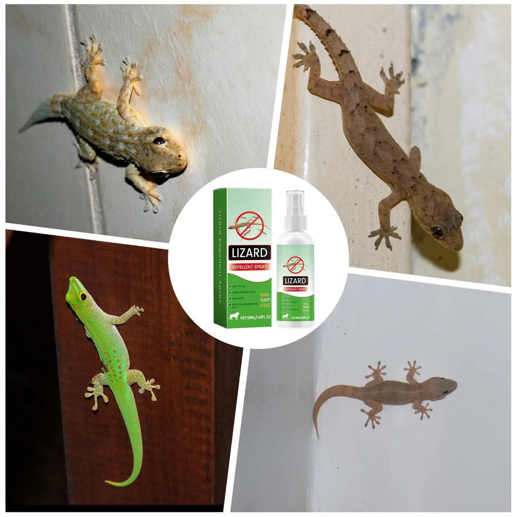 Lizard & Gecko Repellent Spray 50ml – Natural Lavender Oil