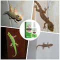 Lizard & Gecko Repellent Spray 50ml – Natural Lavender Oil