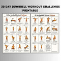 30-Day Chair Exercise Poster Set – Seated Fitness Guide for Seniors
