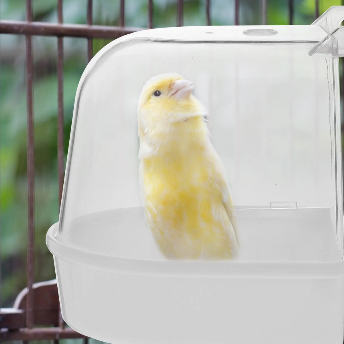 Bird Bath Basins Hanging Parrot Shower Tubs Spill-proof Outdoor Cage