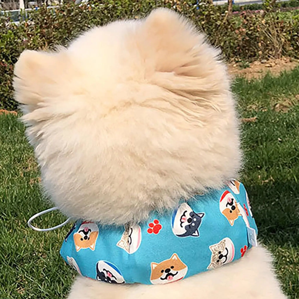 Pet Cooling Bandana & Ice Collar for Dogs & Cats | Adjustable