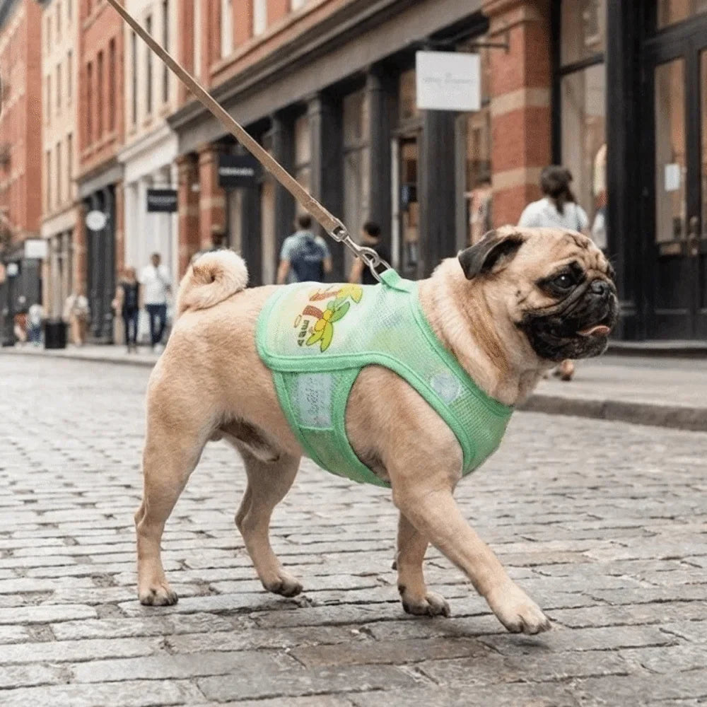Striped Mesh Dog Cooling Vest | Ice Silk Bear Pattern T-Shirt