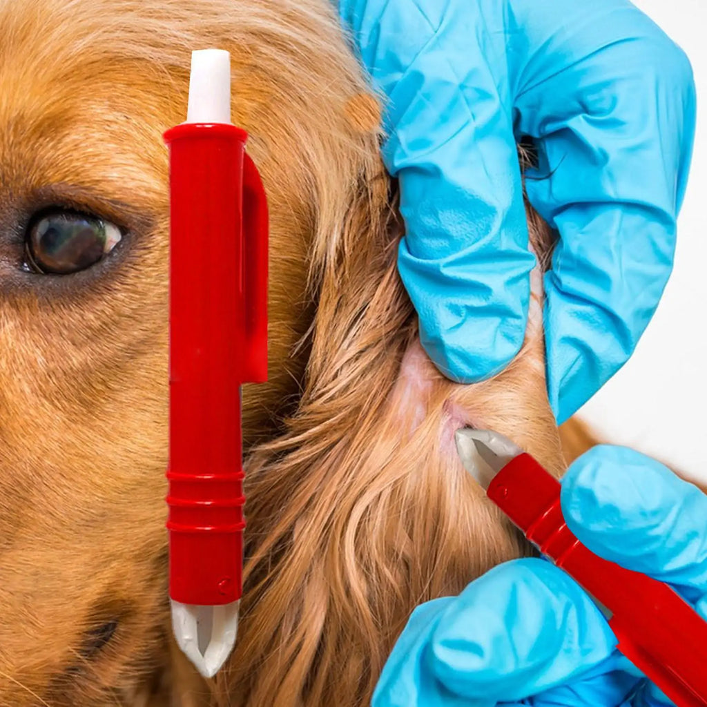 4-Piece Pet Tick Remover Kit – Hooks & Tweezers for Dogs & Cats