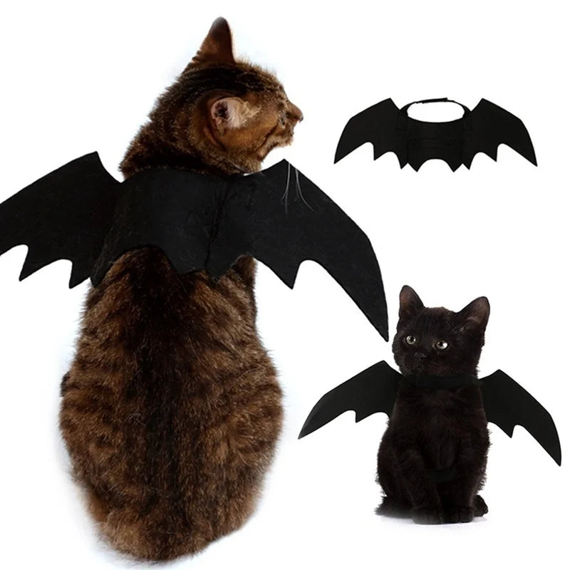 Halloween Bat Wings Harness Costume for Cats & Dogs