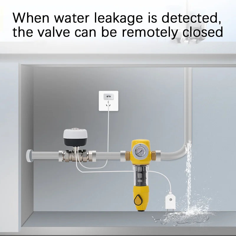 WiFi Smart Ball Valve DN15/DN20/DN25 | eWeLink Alexa Google