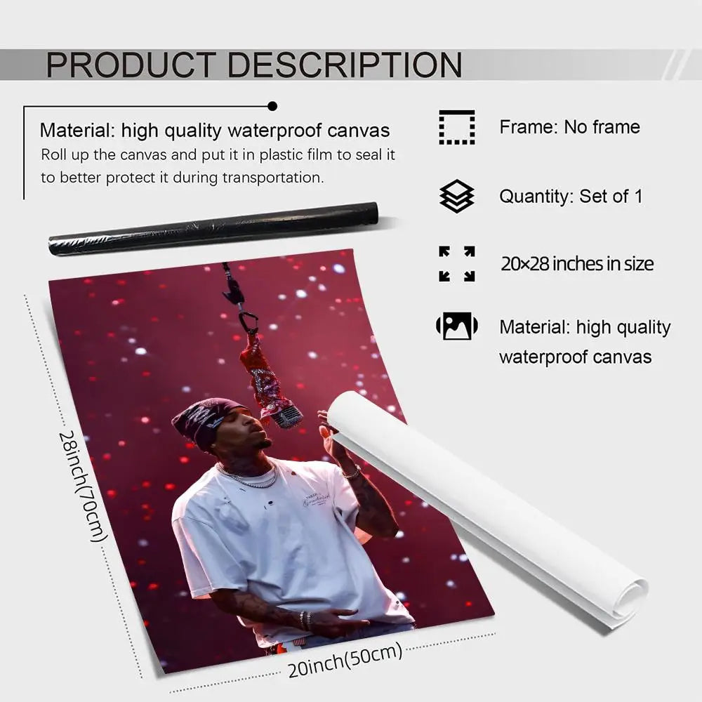 Chris Brown Canvas Wall Art Poster – Unframed Home Décor