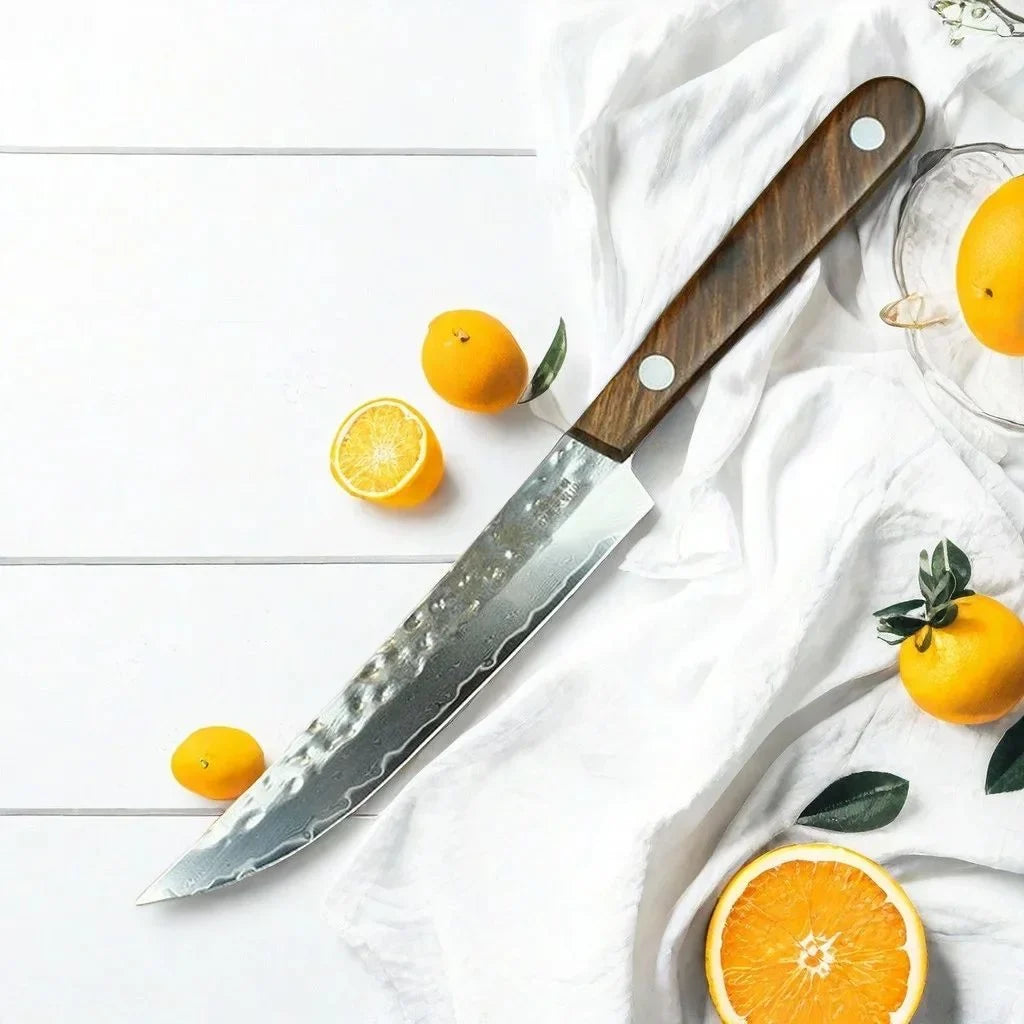 67-Ply Damascus Steel Fruit Knife – Solid Wood Handle