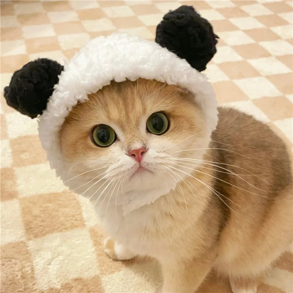 Internet Celebrity Pet Cat Lion Head Rabbit Ears Frog Bear Hat Funny
