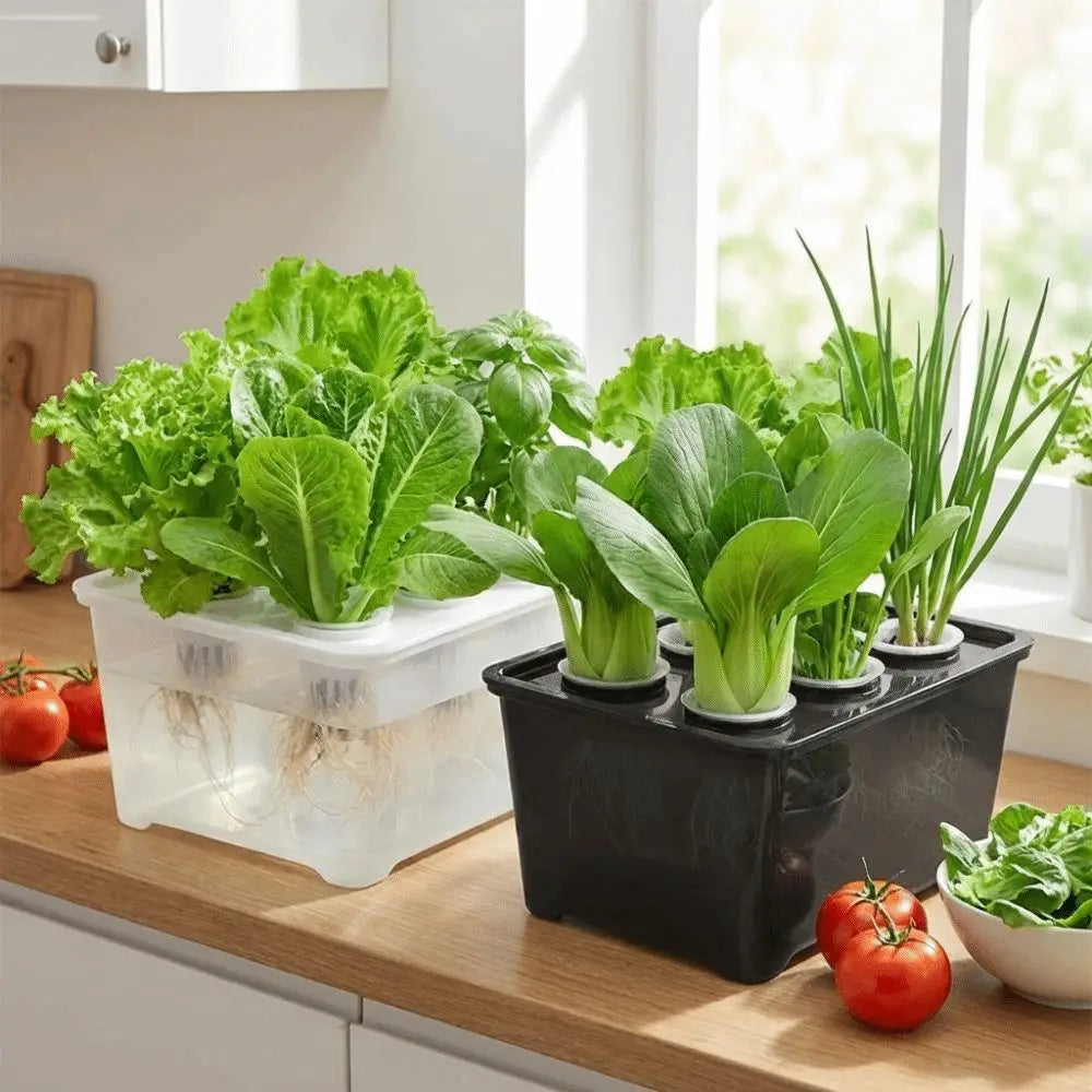 6-Hole Hydroponic Grower Kit | Self-Watering Indoor Herb Garden