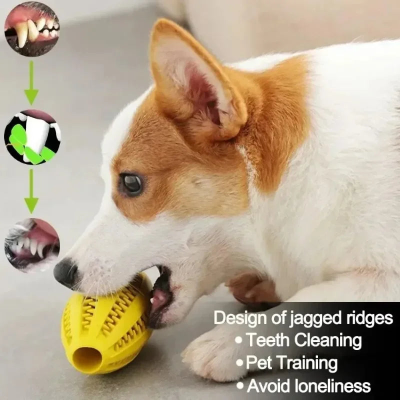 Natural Rubber Dog Chew Toy – Teeth Cleaning Snack Ball
