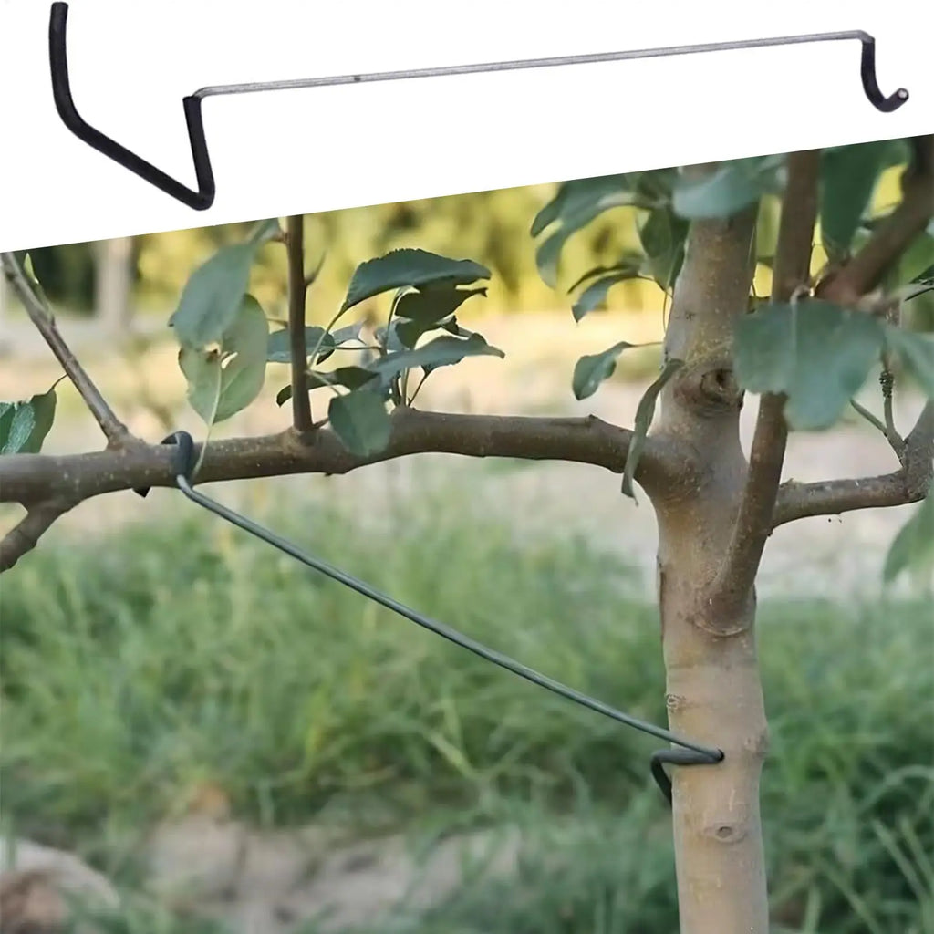 10-Pack Tree Branch Spreader 14.2in Fruit Tree Limb Bender