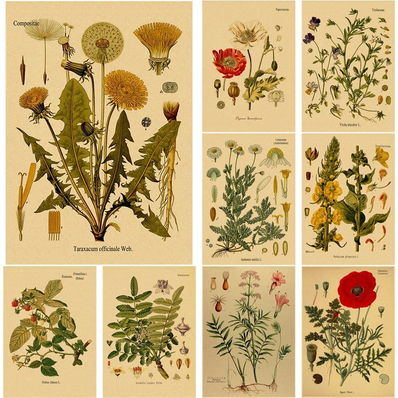 Botanical Herb & Flower Retro Kraft Paper Poster | Vintage Wall Art