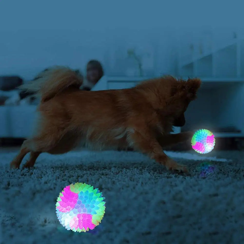 LED Flashing Ball Toy for Dogs & Cats | Glowing TPR Bounce Ball