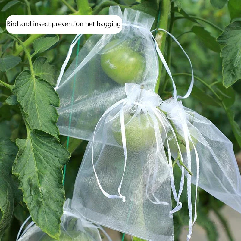50 Pcs Organza Fruit Protection Bags – Anti-Bird Garden Mesh