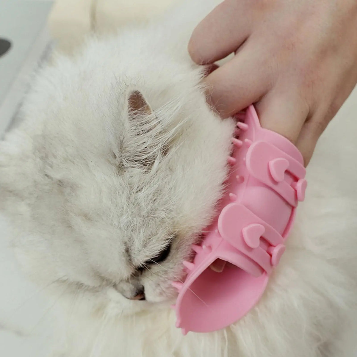 Self-Grooming Cat Brush – Soft Massage Scratcher for Furniture