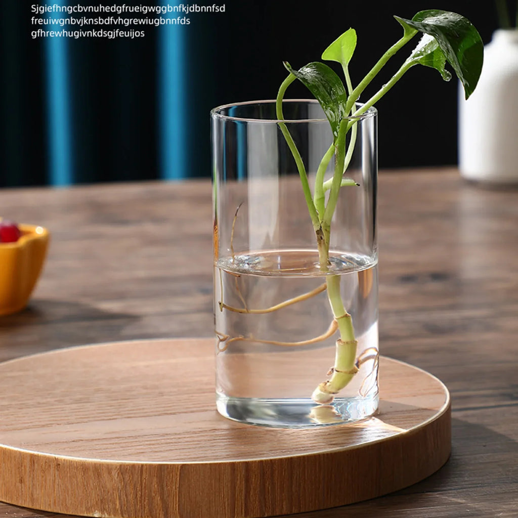 Glass Cylinder Vase | Hydroponic Flower Centerpiece for Weddings