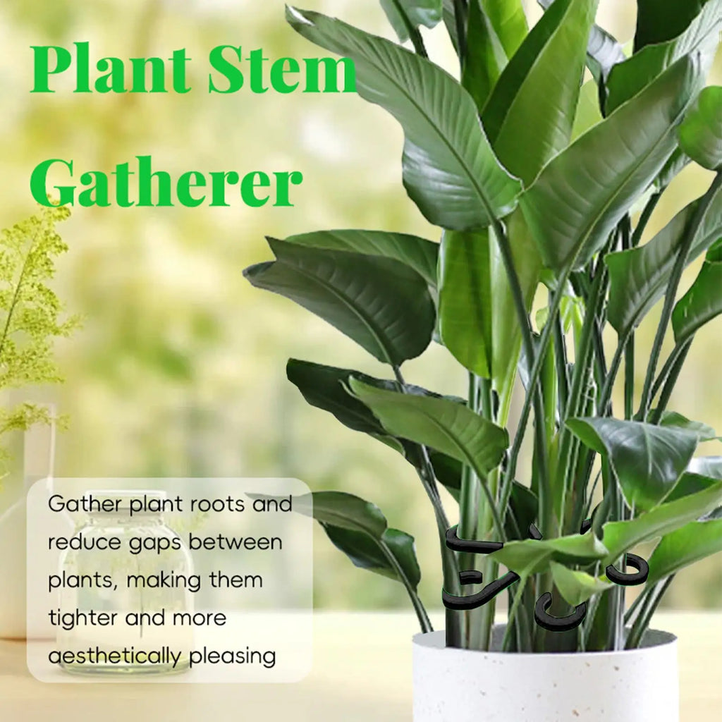 4-Piece Plant Stem Support Set for Climbing Indoor Plants