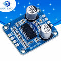 Mono Class D Digital Amplifier Board DC 8–24V 30W–300W 4–8Ω