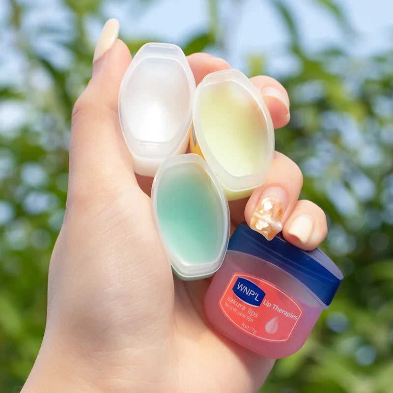 Natural Plant Jelly Lip Balm Set – Hydrating Moisturizer 4/6/8pc