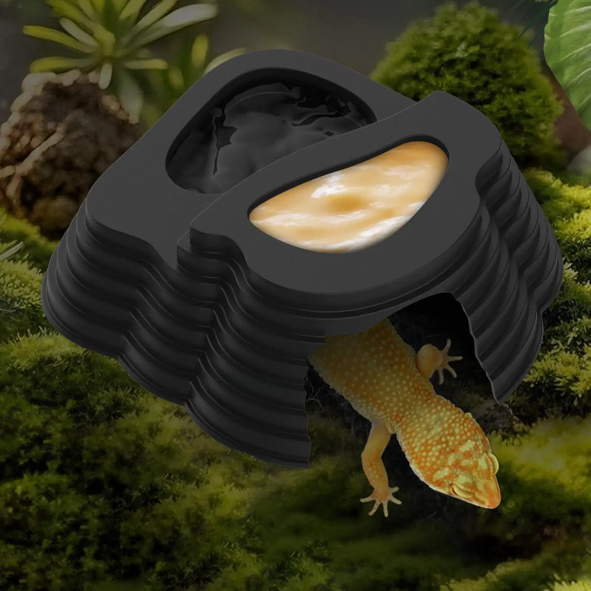 Anti-Slip Reptile Bathing Pool & Dish with Ramp | PVC