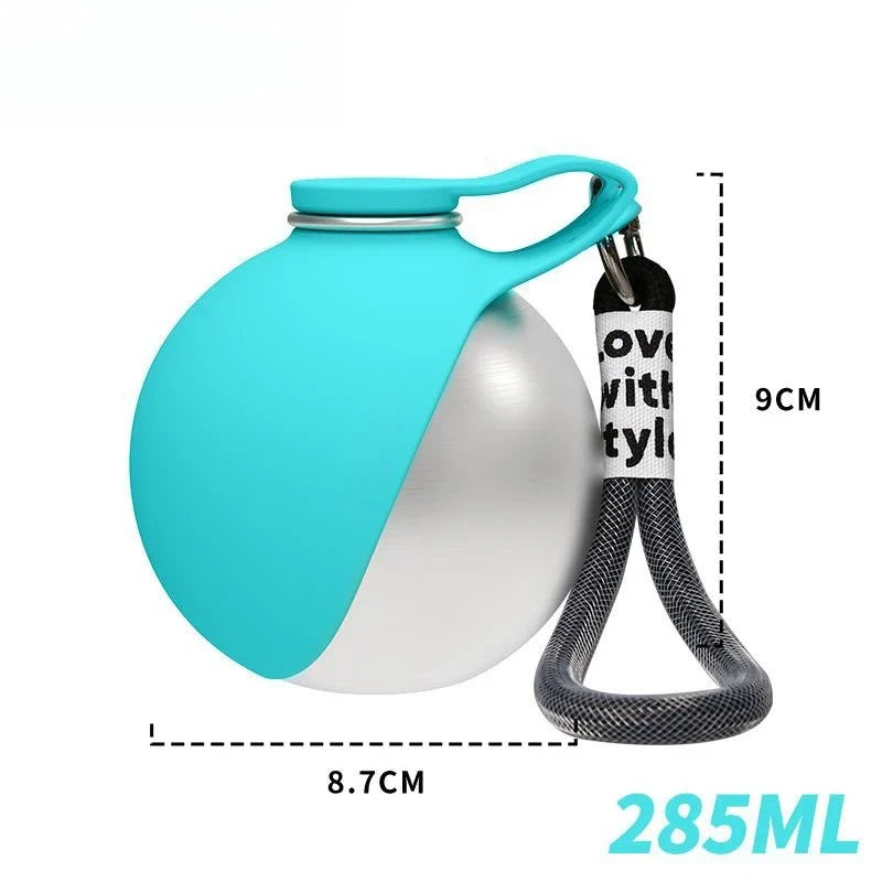 Portable Stainless Steel Pet Water Bottle with Silicone Bowl
