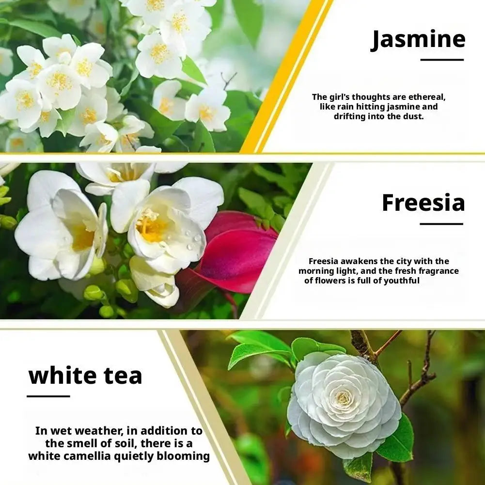 Essential Oils Flameless Fragrance Humidifiers Rose Lavender Lemon