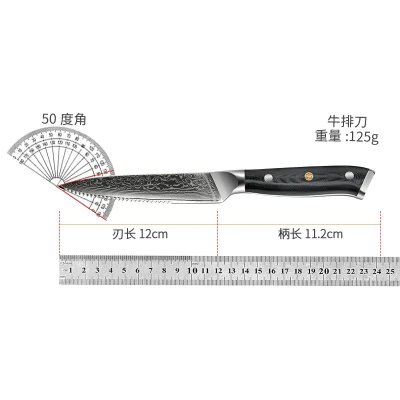 4-Piece Damascus Steel Steak Knife Set | 67-Layer G10 Handle