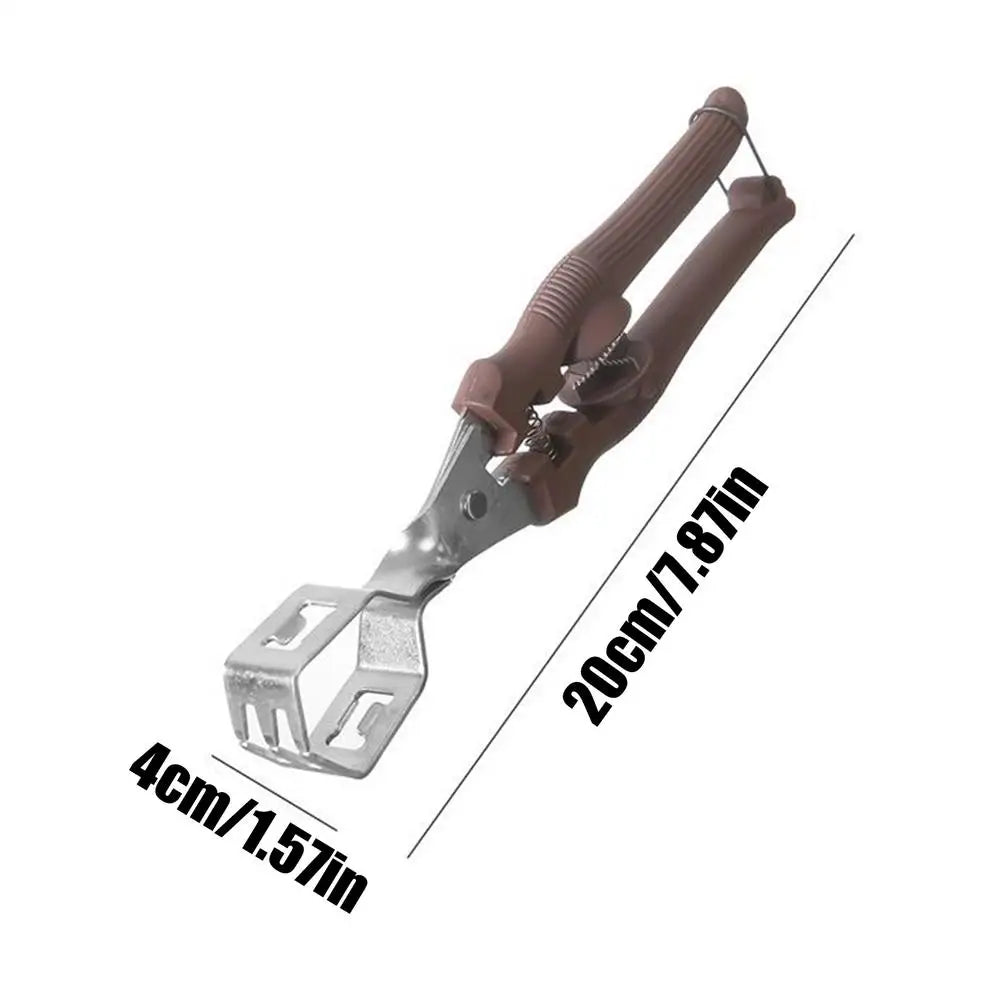 Manual Chestnut Cracker & Nut Opener for Pecans, Walnuts
