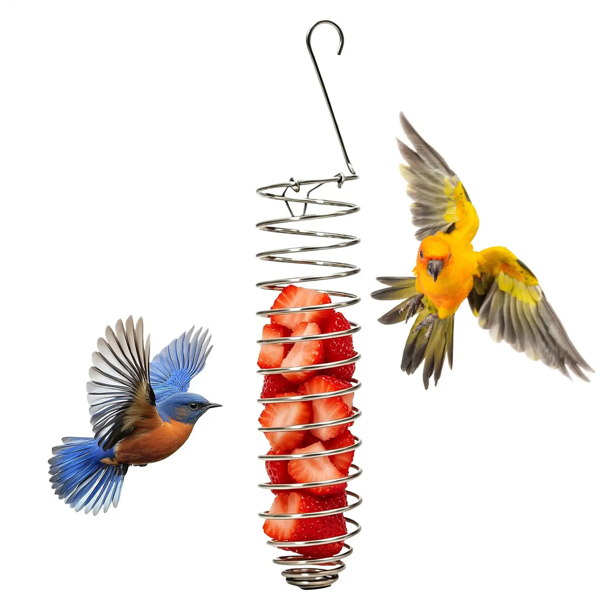 Bird Cage Feeder Foraging Supports Tray Bowls Millet Holder Food