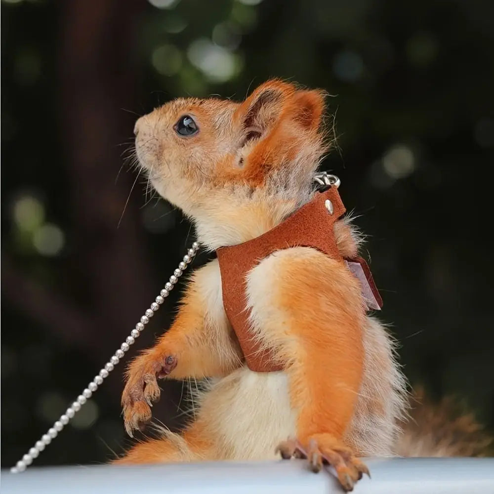 Adjustable Leather Rat & Lizard Harness Leash Set – 3 Sizes