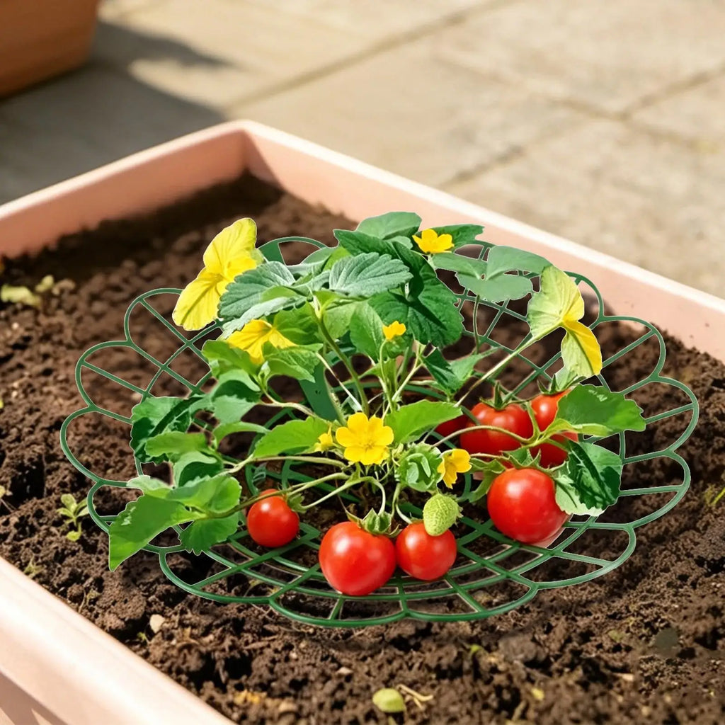 Strawberry Plant Support Stand – Potted Growing Frame