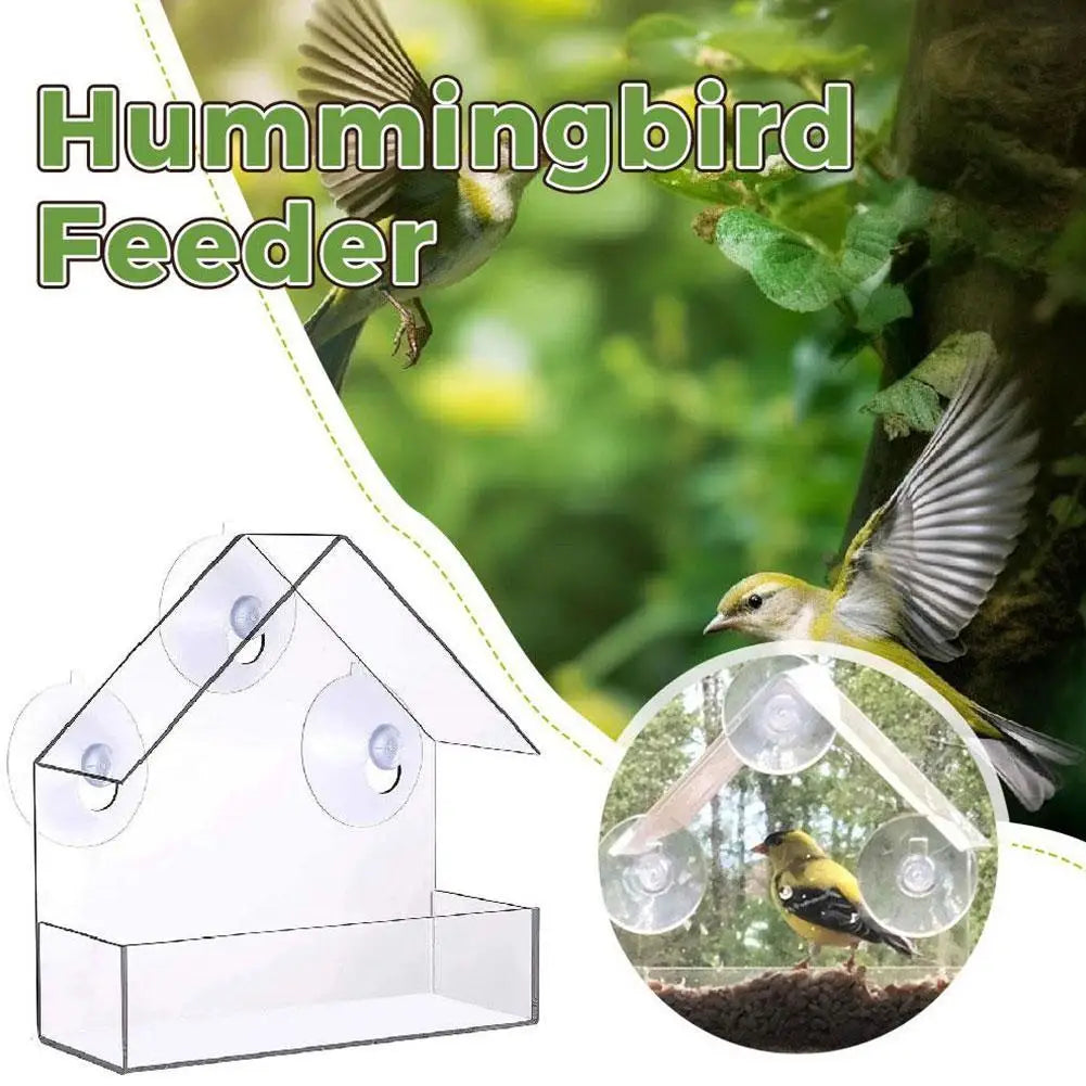 Clear Acrylic Window Bird Feeder with Suction Cup – Outdoor