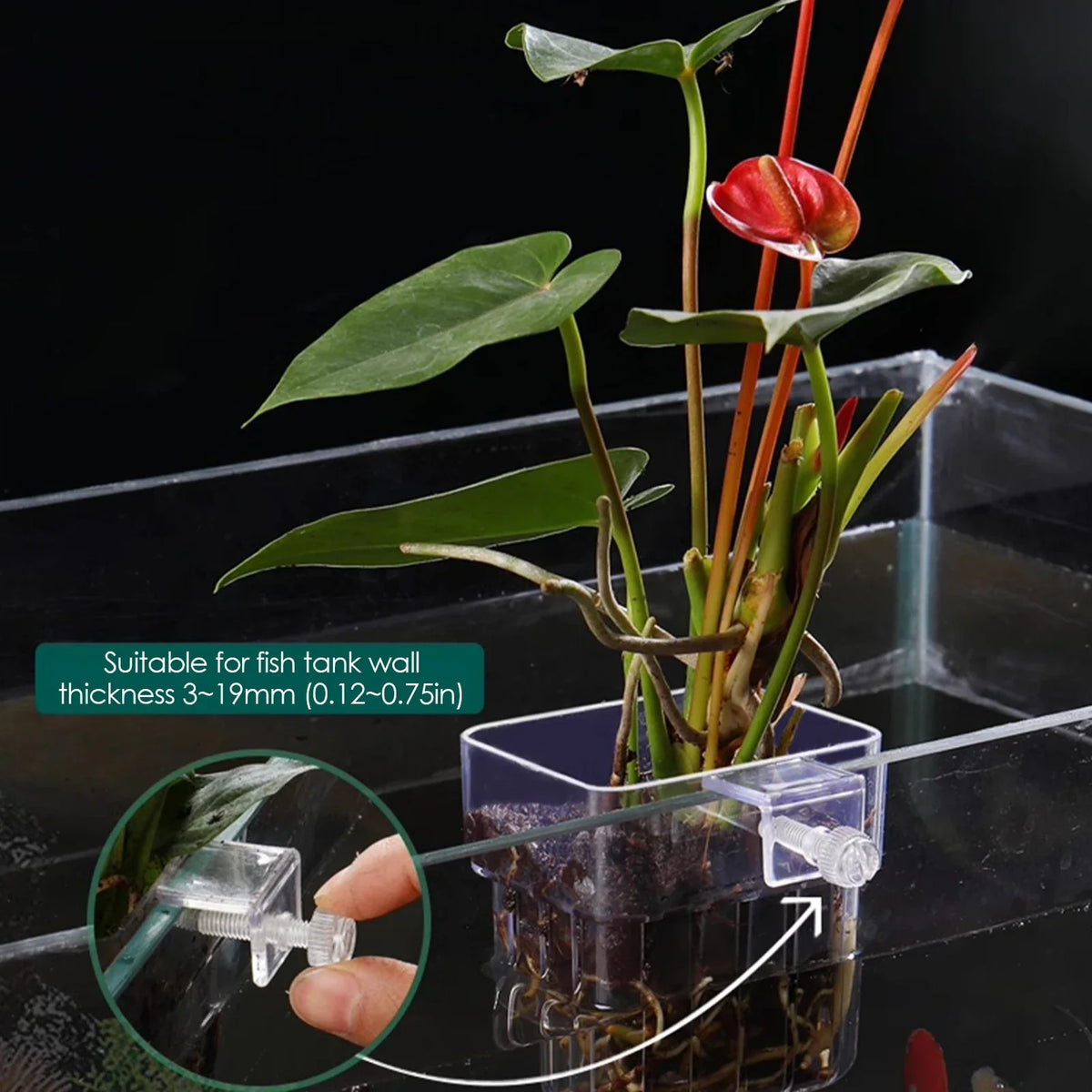 Aquarium Plant Holder Transparent Decorations Plants Pot Aquatic Cup