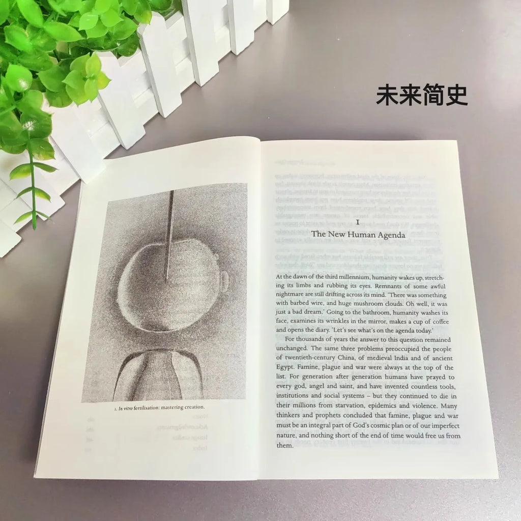 Homo Deus Brief History Tomorrow Yuval Noah Harari Students English