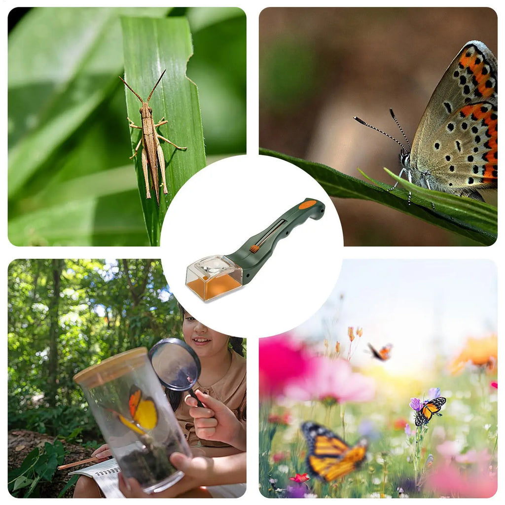 Bug Catcher & Magnifier Tool for Kids & Adults | Insect Viewer