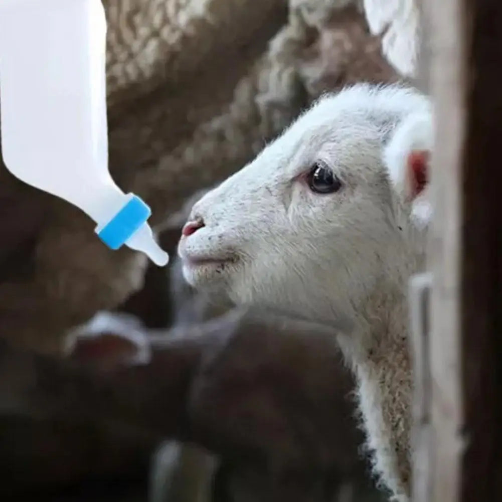 Hangable Lamb Feeding Bottle 500ml/800ml | Sheep Goat Piglet