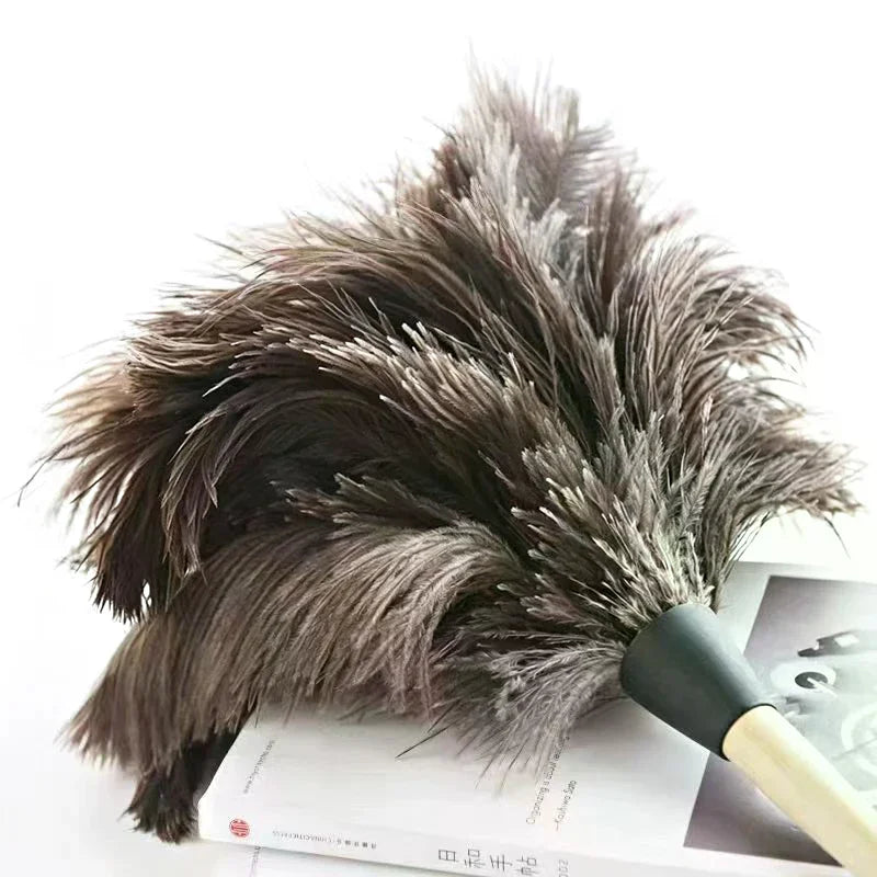 Natural Ostrich Feather Duster with Wooden Handle | Home Cleaning
