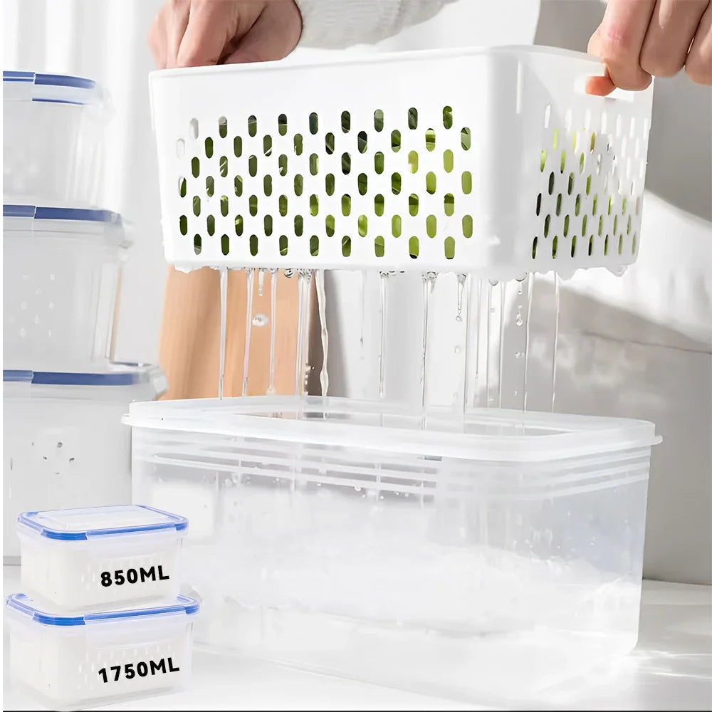 Food Storage Boxes Double-layer Refrigerator Fresh Sealed Box
