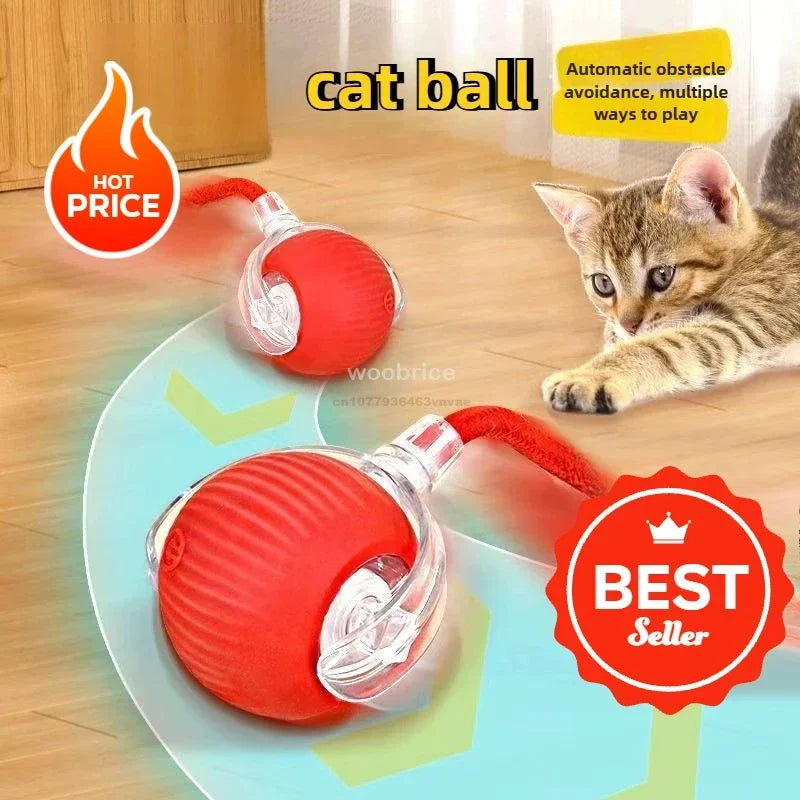 Electronic Auto-Rolling Interactive Cat Ball Toy | USB Rechargeable
