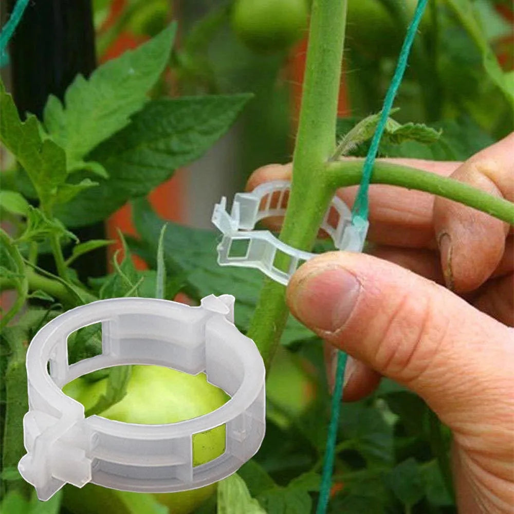 100PCS Reusable Plastic Plant Clips – Tomato & Vine Support
