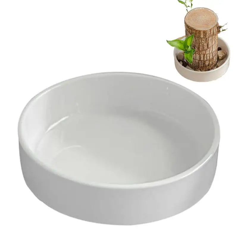 Brazilian Wood Plant Tray Decorative Small Holder Saucer Indoor