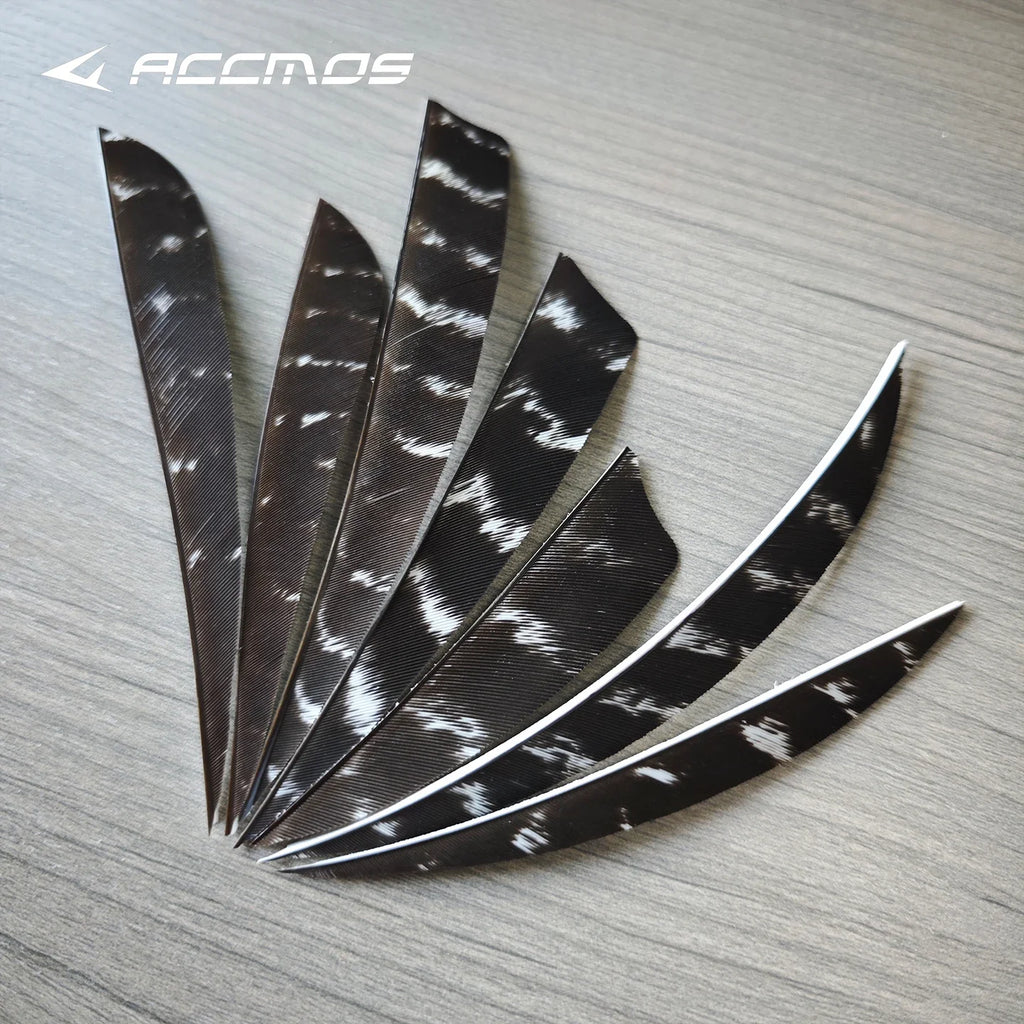 25 RW LW Natural Turkey Archery Arrow Feathers Shield 3 4 Fletching