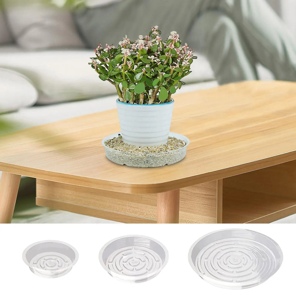 Clear Plant Saucer Trays 5-Pack | 6", 8" & 10" Drainage Dishes