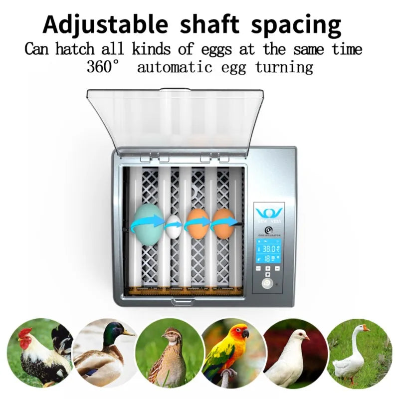 Automatic 16-Egg Incubator – Auto Turner & Poultry Hatcher