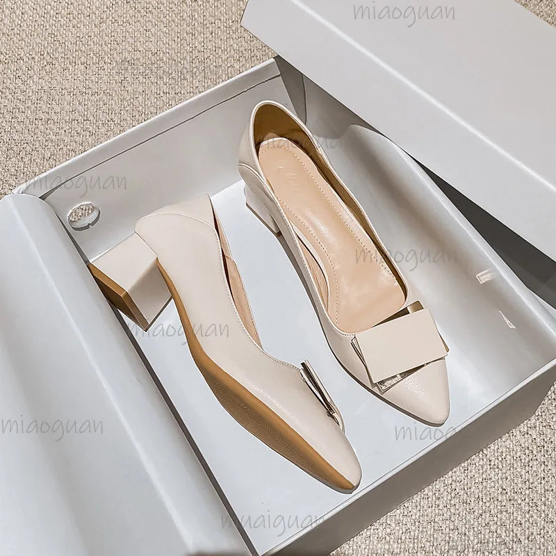 Women's Low Heel Pumps – Pointed Toe Slip-On Dress Shoes