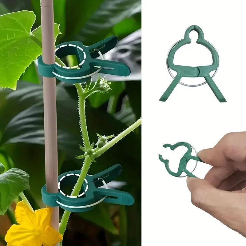 10 Adjustable Plant Fixed Clips Reusable Greenhouse Bracket Fixing