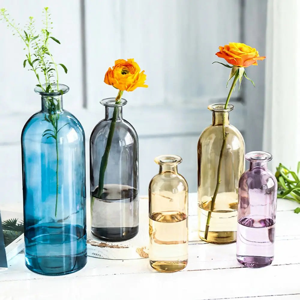 Transparent Glass Flower Vase | Modern Hydroponic Table Decor