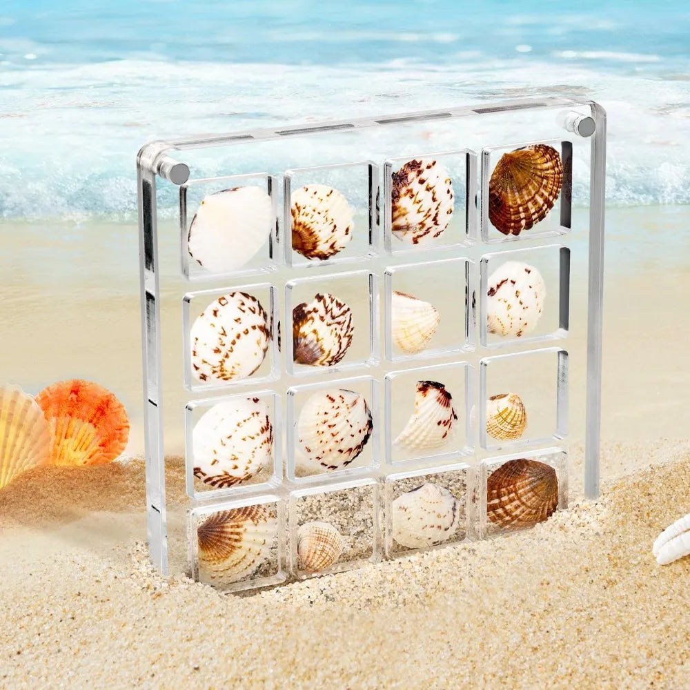 16-Grid Seashell Display Box Magnets Acrylic Storage Organizer